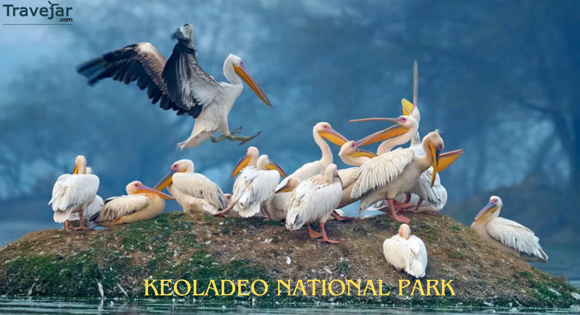 Keoladeo National Park